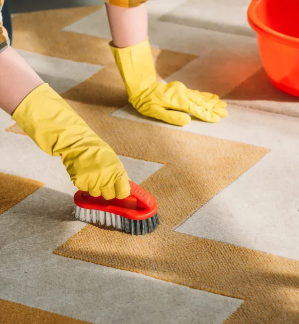 cropped image of woman cleaning carpet at home